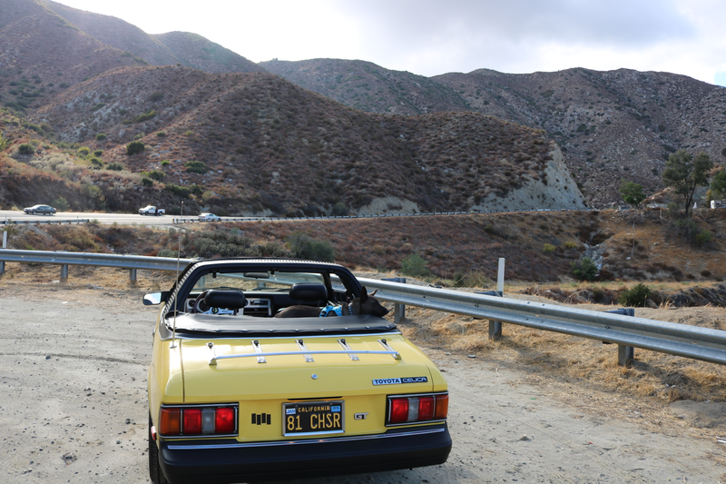 Illustration for article titled We made it! San Diego road trip photodump